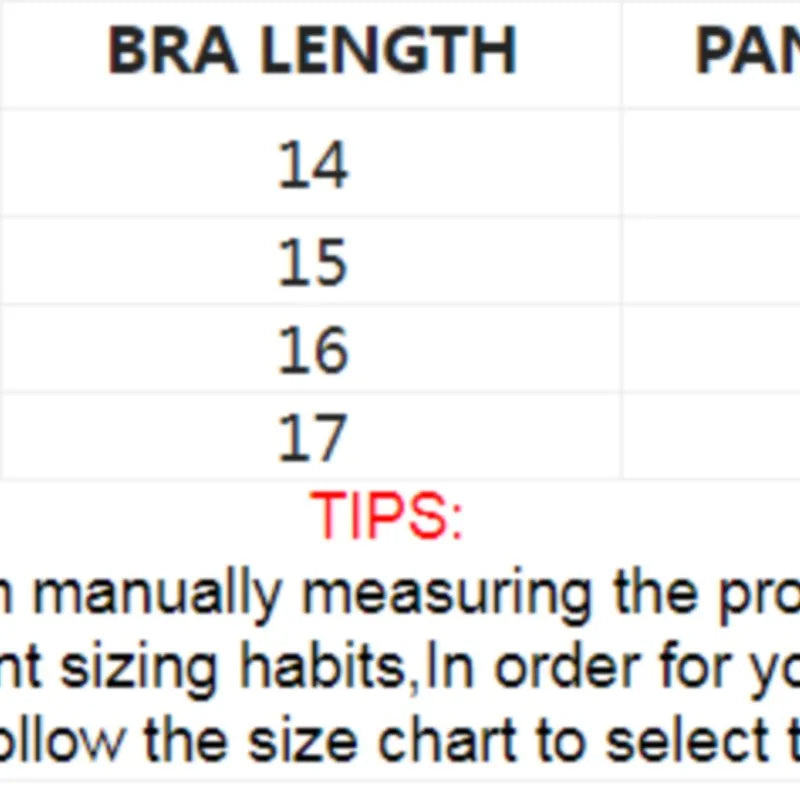 Soutien-gorge push-up en Tulle brodé, Lingerie féerique exotique, maille transparente, 3 pièces, vêtements intimes transparents pour femmes