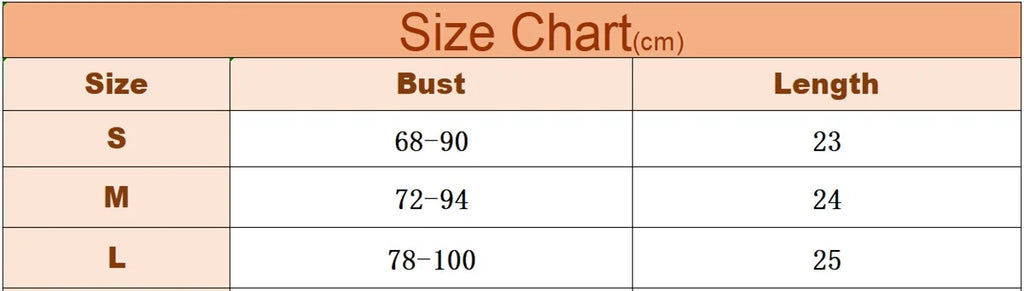 Corset Sexy en dentelle avec nœud brodé de fleurs pour femmes, Camisole en maille transparente, haut court Slim, soutien-gorge filaire, Lingerie de Festival